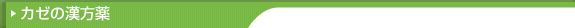 カゼの漢方薬